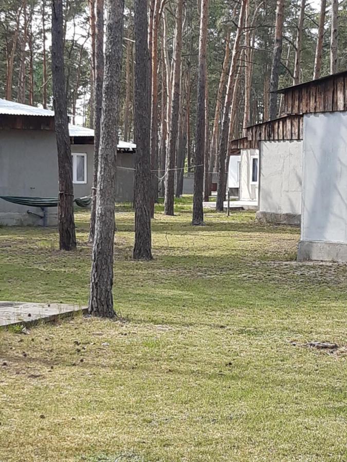 Osrodek Vantur Ksieze Mlyny Exteriör bild